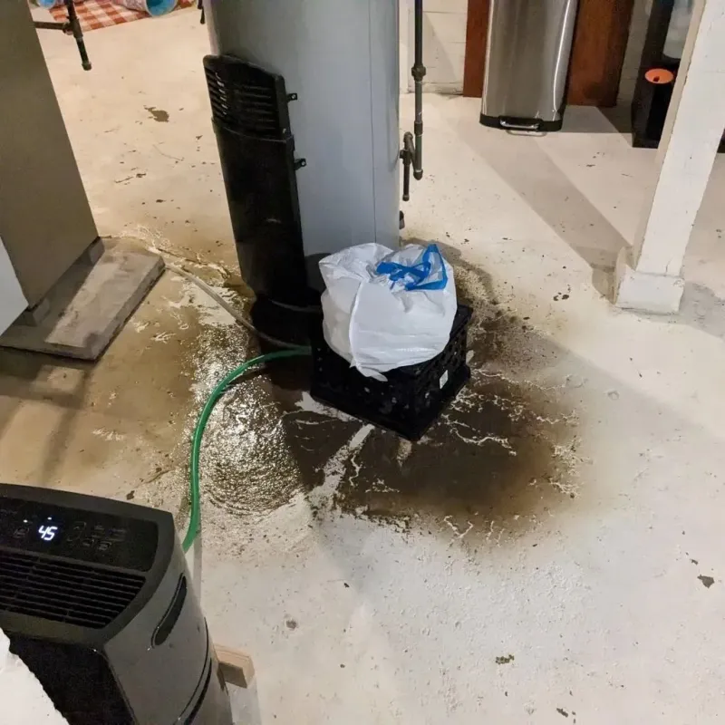 Sewage Backup Cleanup Service in Esther, MO